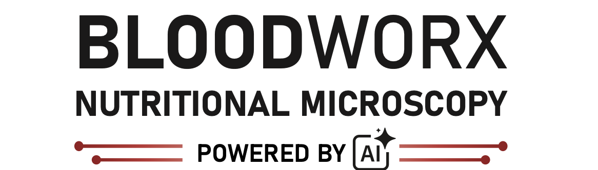 blood workx AI